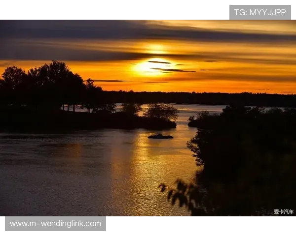 问鼎旗舰网站官网：最新版本更新内容详解与玩家反馈交流专区